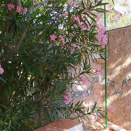 Nyaraló Estate Nel Trullo Villa Castelli