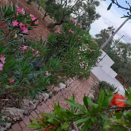 Nyaraló Estate Nel Trullo Villa Castelli