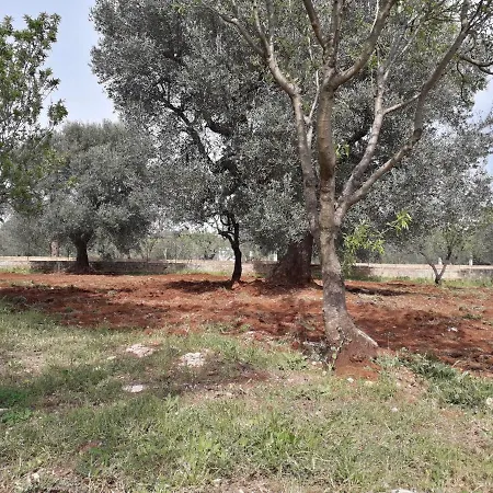 Nyaraló Estate Nel Trullo Villa Castelli