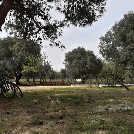 Estate Nel Trullo *